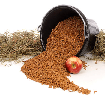 Apple and Straw