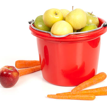 Apple and Carrot