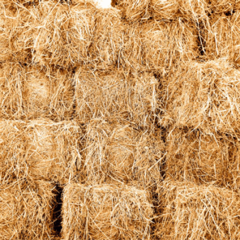 Straw