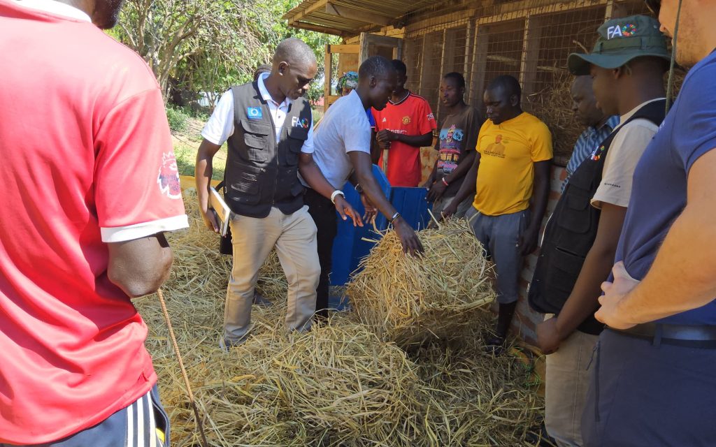 Earning an income from Agribusiness