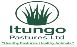 Itungo Pasteurs